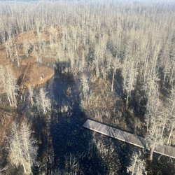 Grand Bay Wildlife Management Area - View from the top #1