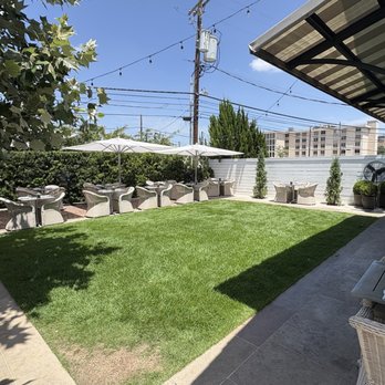 Tiny Boxwoods - Courtyard - Venues & Event Spaces Near Me - Austin, Texas Tiny Boxwoods - Courtyard - Venues & Event Spaces Near Me - Austin, Texas