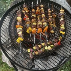 Butternut Grove Campsite - Great place to share good food with friends!