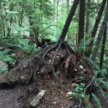 Capilano River Regional Park - Parks Near Me - North Vancouver, British Columbia