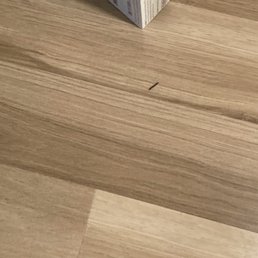 Bug Bug