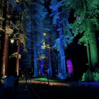 Roaring Camp Railroads - Venues & Event Spaces Near Me - Felton, California