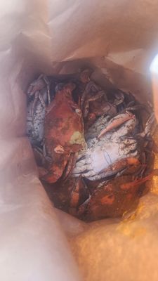 Kent Island Crab Co by null