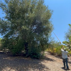Valley Gardener