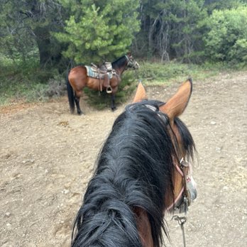 Alpine Meadows Stables - Horseback Riding Near Me - Tahoe City, California Alpine Meadows Stables - Horseback Riding Near Me - Tahoe City, California