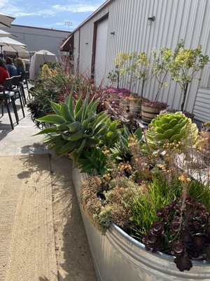 Covenant Wines by null