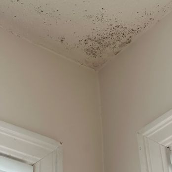Lux Property Management - Black mold in master bathroom - Property Management Near Me - Portland, Oregon