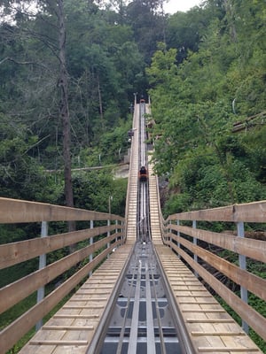 Smoky Mountain Alpine Coaster by null