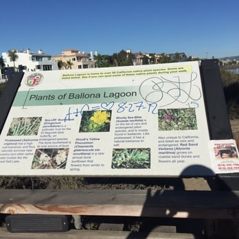 Aubrey E. Austin, Jr. Park - Parks Near Me - Marina del Rey, California