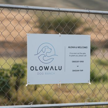 Olowalu Dog Ranch - Pet Boarding Near Me - Lahaina, Hawaii Olowalu Dog Ranch - Pet Boarding Near Me - Lahaina, Hawaii