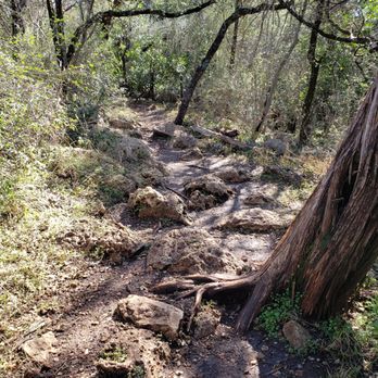 Purgatory Creek Park - Rough to run on - Parks Near Me - San Marcos, Texas Purgatory Creek Park - Rough to run on - Parks Near Me - San Marcos, Texas