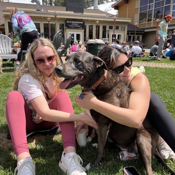 Le Chamois - Chammy lawn vibes - Bars Near Me - Olympic Valley, California