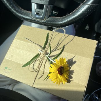 Transitions In Home Pet Euthanasia - Fresh flower on the box when I picked up my pup's remains. - Veterinarians Near Me Transitions In Home Pet Euthanasia - Fresh flower on the box when I picked up my pup's remains. - Veterinarians Near Me