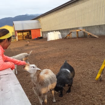 Birchwood Dairy - Baa! - Ice Cream & Frozen Yogurt Near Me - Abbotsford, British Columbia Birchwood Dairy - Baa! - Ice Cream & Frozen Yogurt Near Me - Abbotsford, British Columbia