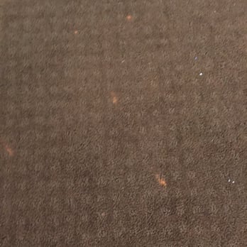 Spot Dye Wizard - Before pictures - Carpet Dyeing Near Me Spot Dye Wizard - Before pictures - Carpet Dyeing Near Me
