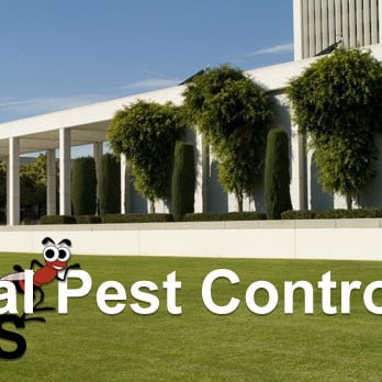 Southeast Florida Pest Control - Pest Control Near Me - Delray Beach, Florida Southeast Florida Pest Control - Pest Control Near Me - Delray Beach, Florida