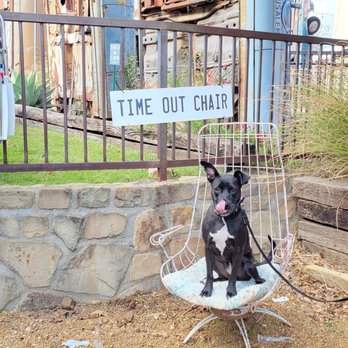 Truck Yard - Love this Time Out chair next to the kids playground :D - Beer Gardens Near Me - The Colony, Texas Truck Yard - Love this Time Out chair next to the kids playground :D - Beer Gardens Near Me - The Colony, Texas