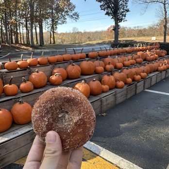 Battleview Orchards - apple cinnamon donut - Pick Your Own Farms Near Me - Freehold, New Jersey