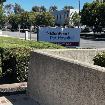 BluePearl Pet Hospital - Veterinarians Near Me - Irvine, California