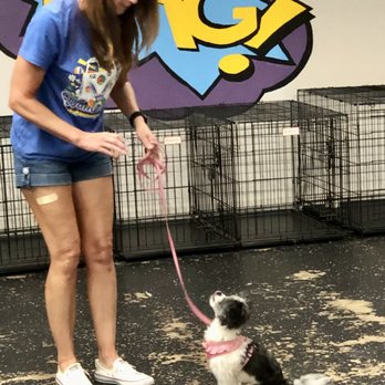 Pup Pup & Away - Such a good doggie. - Pet Training Near Me - San Antonio, Texas Pup Pup & Away - Such a good doggie. - Pet Training Near Me - San Antonio, Texas