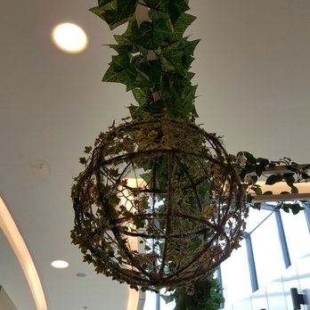 Burnt Orange Chatswood - Tea Rooms Near Me - Sydney, NSW