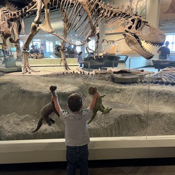 Field Museum - Museums Near Me - Chicago, Illinois