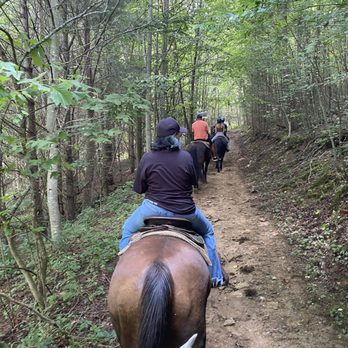 Dutch Creek Trails - Great trails and horses - Horseback Riding Near Me - Sugar Grove, North Carolina Dutch Creek Trails - Great trails and horses - Horseback Riding Near Me - Sugar Grove, North Carolina