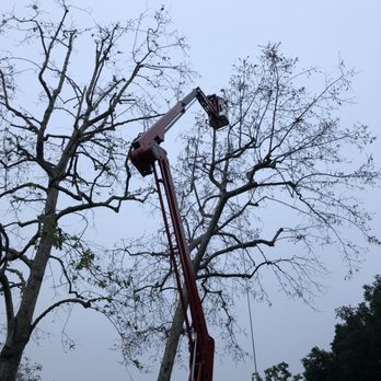 JN Arbor Care - Tree Services Near Me JN Arbor Care - Tree Services Near Me