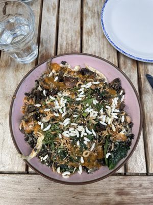 Shy Bird - Fenway by null