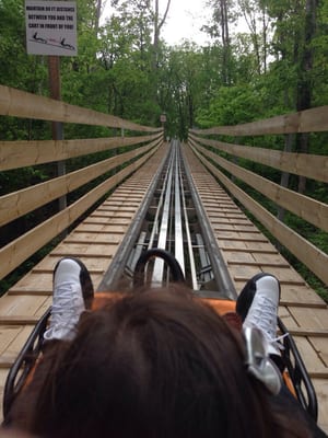 Smoky Mountain Alpine Coaster by null