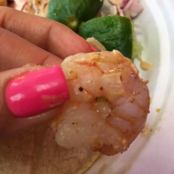 Tacos Cancun - Cooked shrimp...very bland and plain. No seasoning - Mexican Near Me - Glendale, California Tacos Cancun - Cooked shrimp...very bland and plain. No seasoning - Mexican Near Me - Glendale, California