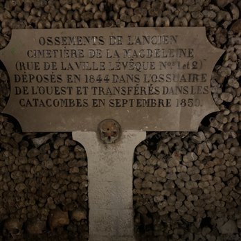 Les Catacombes de Paris - Local Flavor Near Me - Paris, 75 Les Catacombes de Paris - Local Flavor Near Me - Paris, 75