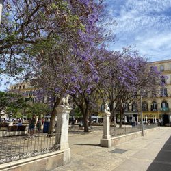 Plaza de la Merced - Side entrance