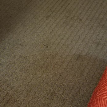 Motel 6 - Stains all over the carpet.  Yuck! - Hotels Near Me - Fontana, California