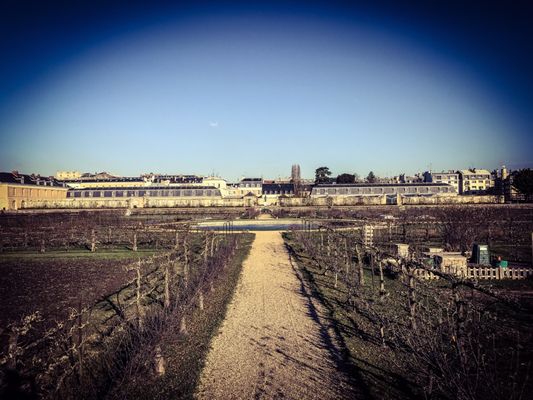 Potager du Roi by null