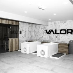 Valor Strength and Performance