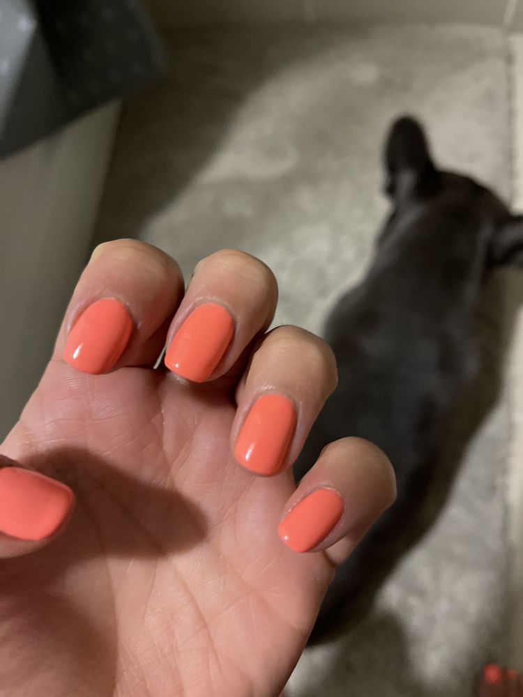 THEE NAIL SALON Updated August 2024 29 Photos & 20 Reviews 1