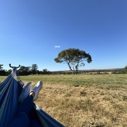 Firefly Rv Resort - Hammock on our site
