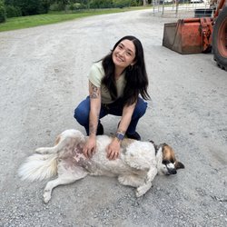 Lang's Horse & Pony Farm