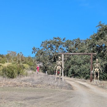 Pronzini Christmas Tree Farms - Ride entrance to the haunted trail - Pumpkin Patches Near Me - Petaluma, California