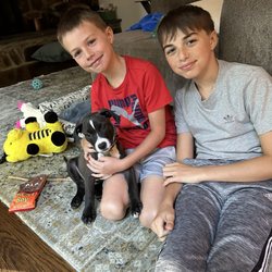 Lucky Dog Animal Rescue - Kids with puppy
