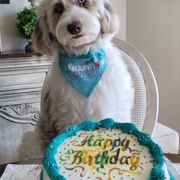 Dairy Queen Birthday Cakes are the Best! Dairy Queen Birthday Cakes are the Best!