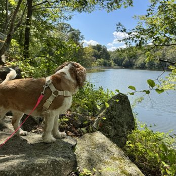 Teatown Lake Reservation - Hiking Near Me - Ossining, New York