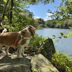 Teatown Lake Reservation