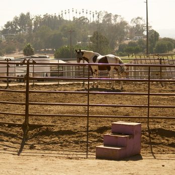 Oceanside Equestrian Center - Horse Boarding Near Me - Oceanside, California Oceanside Equestrian Center - Horse Boarding Near Me - Oceanside, California