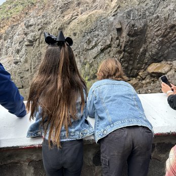 Ensenada Excursions and Tours - La Bufadora Ensenada - Transportation Near Me - Ensenada, BCN