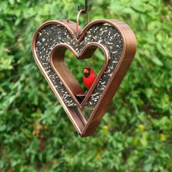 New Bird Feeder