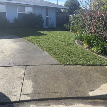Fernando's Gardening - Landscaping Near Me - Fremont, California Fernando's Gardening - Landscaping Near Me - Fremont, California