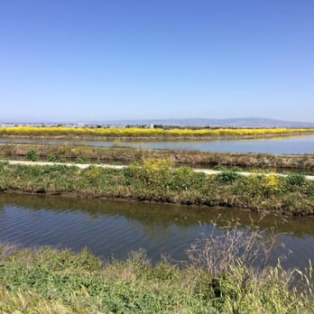 Sunnyvale Bay Trail - 4.5 mile trail flat trail loop great for running - Parks Near Me - Sunnyvale, California Sunnyvale Bay Trail - 4.5 mile trail flat trail loop great for running - Parks Near Me - Sunnyvale, California