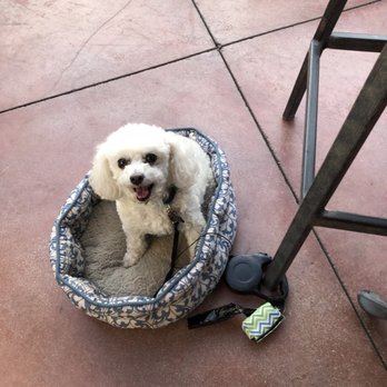 Crest Bar & Grill - Pet Friendly Patio - American Near Me - Bakersfield, California